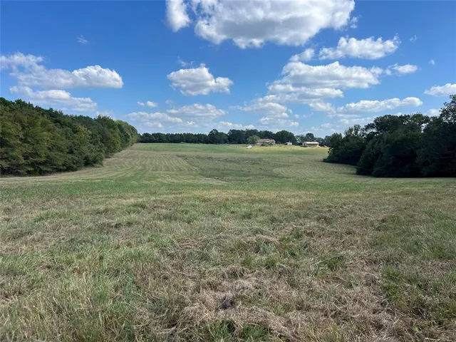 a view of an outdoor space and yard