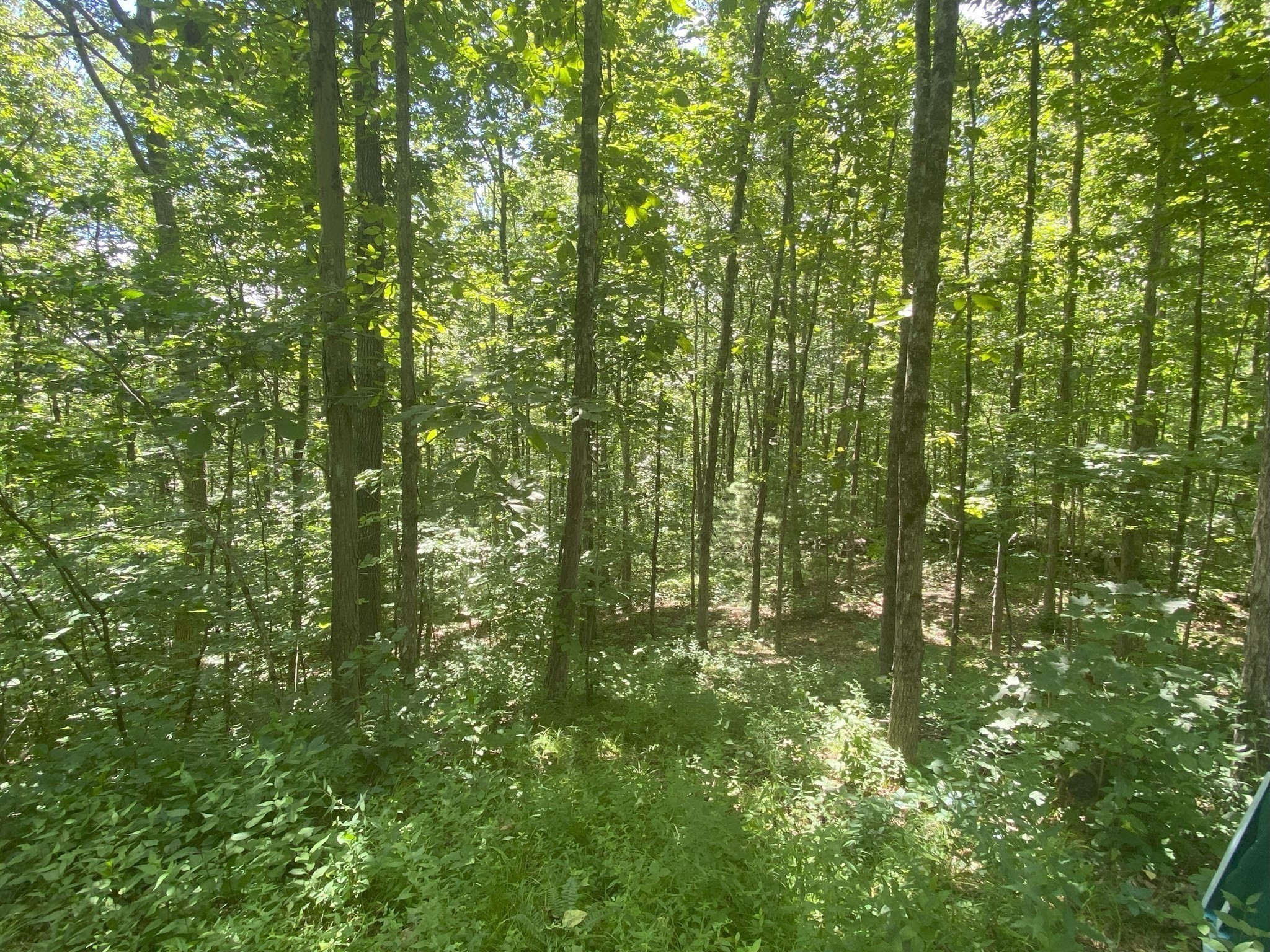Lot 7 Delargy Road Hardwick, MA 01037 - Photo 5 of 21 Gallery Image 5