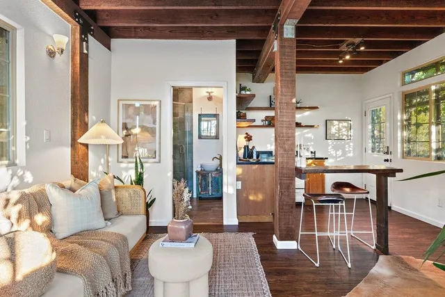 a view of a tree in a field with a mountain in the background