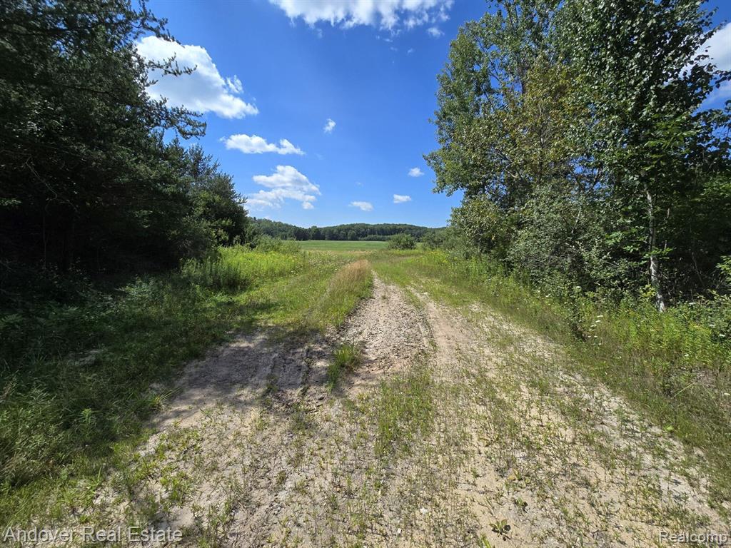 B Leckrone Road Brethren, MI 49619 - Photo 4 of 7