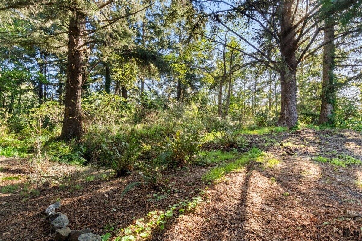 1563 Murray Road McKinleyville, CA 95519 - Photo 27 of 27