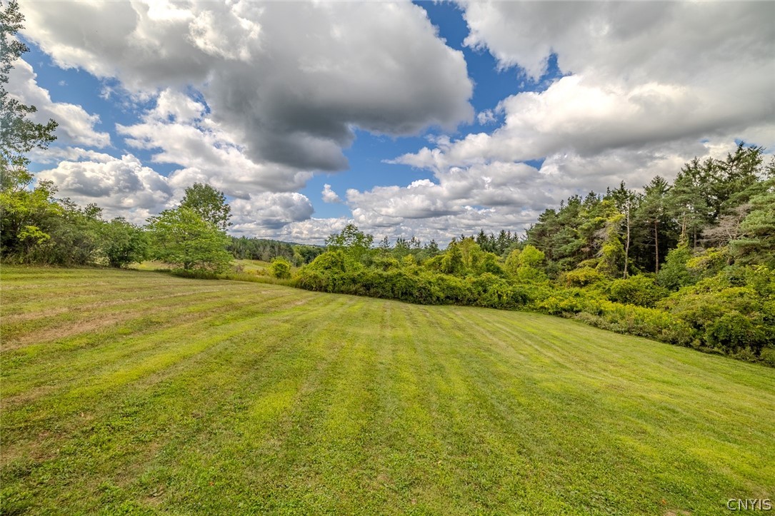 6989 Harp Road Lincoln, NY 13032 - Photo 31 of 44 Look at that view!
