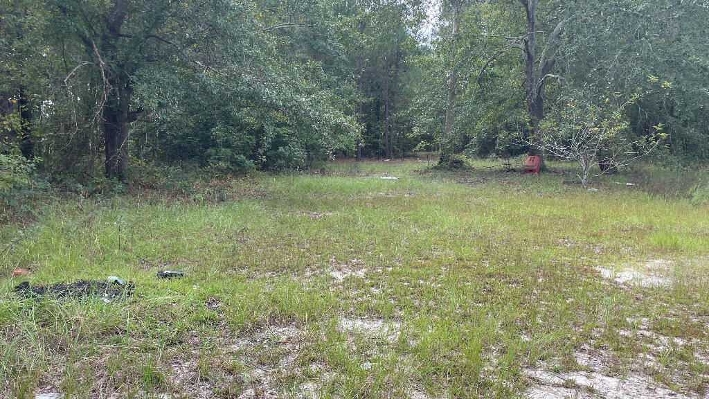179 Jeffcoat Lane Ridge Spring, SC 29129 - Photo 15 of 24