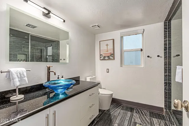 a view of a backyard with plants and palm trees