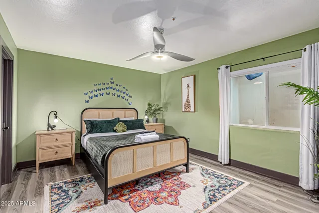 a view of a yard with plants