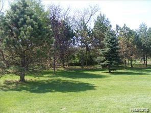 8912 McColl Road Brighton, MI 48116 - Photo 4 of 17