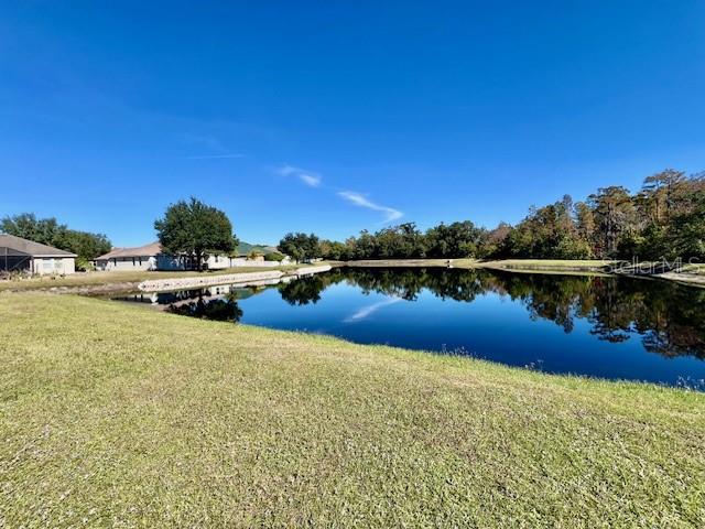8606 Reedville Street New Port Richey, FL 34654 - Photo 56 of 85
