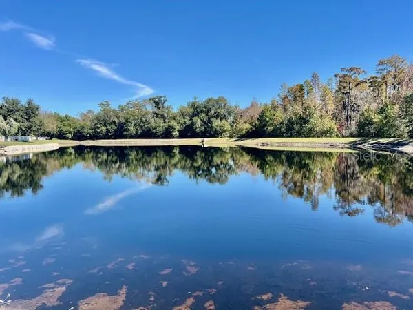 $2,100 | 8606 Reedville Street, New Port Richey, FL 34654