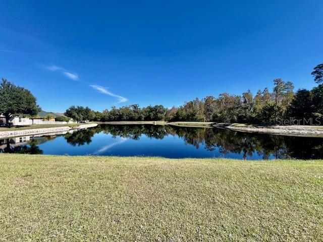 8606 Reedville Street New Port Richey, FL 34654 - Photo 59 of 85 a view of a lake with boats and trees in the background