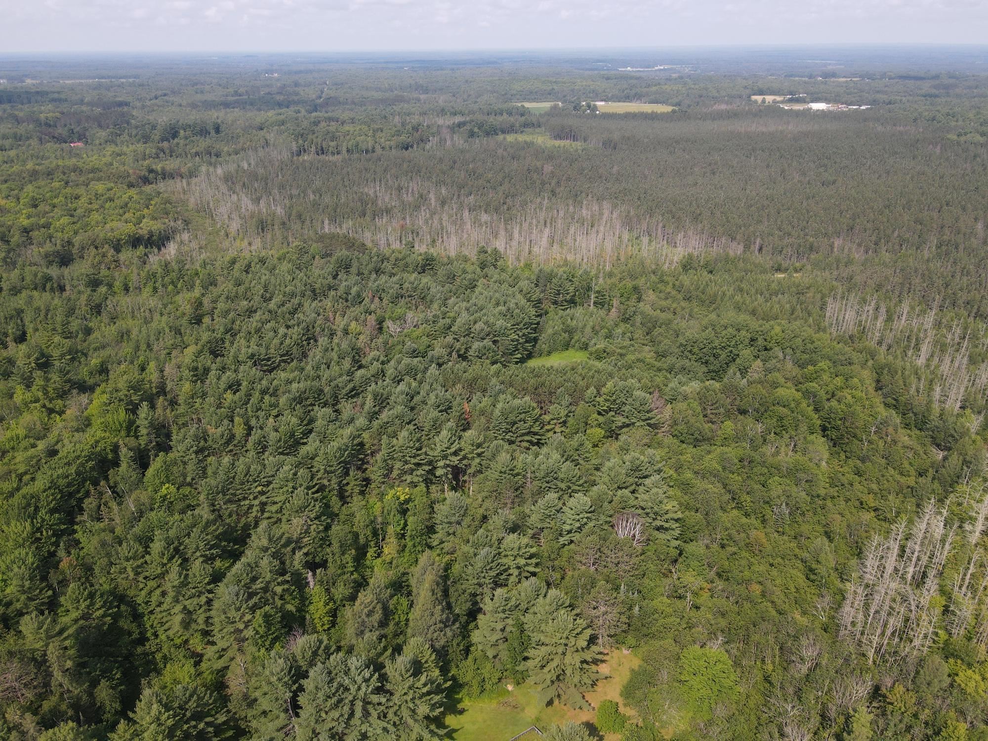 0 Dahl Road Ogema, WI 54459 - Photo 11 of 19
