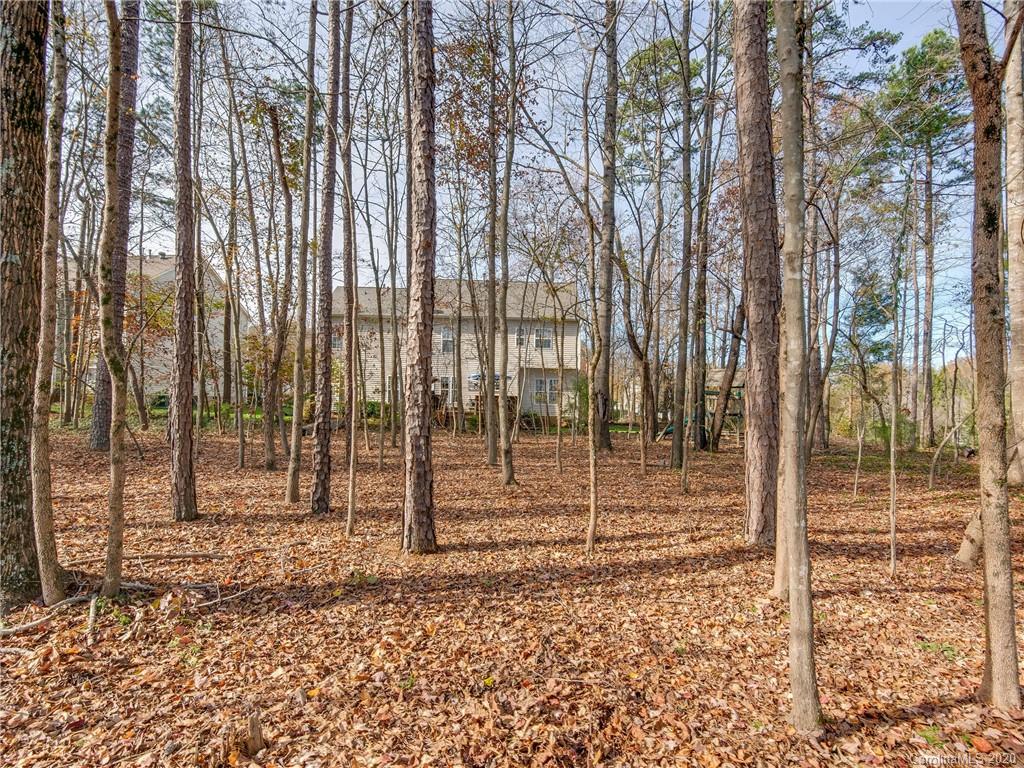 3028 Strawberry Road Matthews, NC 28104 - Photo 42 of 44 a backyard of a house with lots of green space
