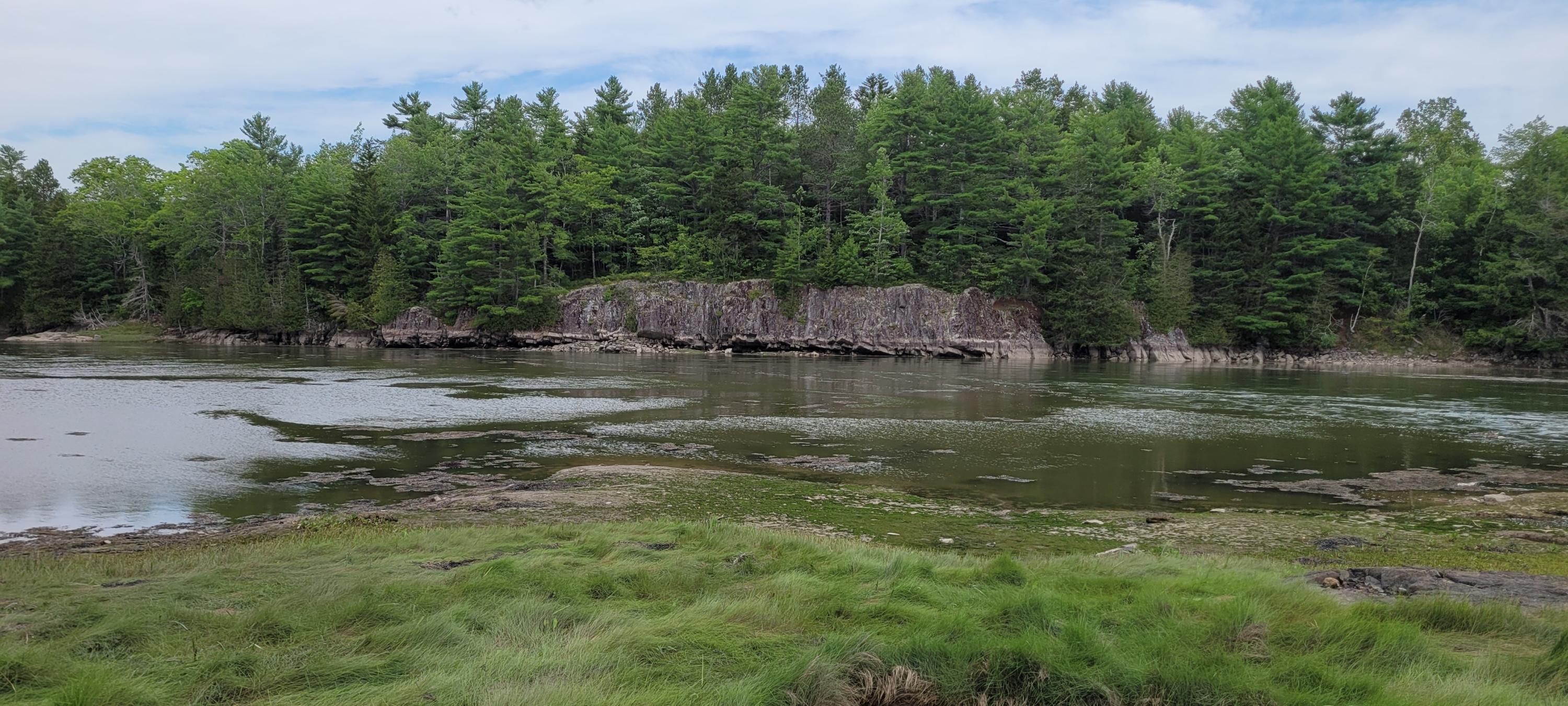 0 Shipyard Road Dennysville, ME 04628 - Photo 3 of 11 20210725_124413