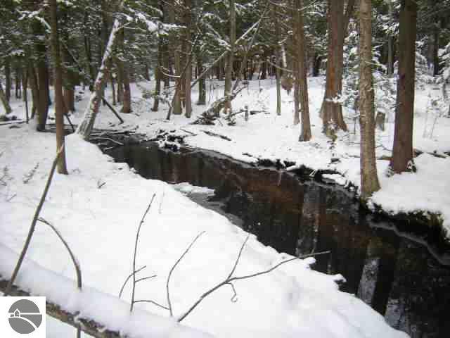 5343 Golden Road Southeast Kalkaska, MI 49646 - Photo 4 of 17 1723276-3.JPG