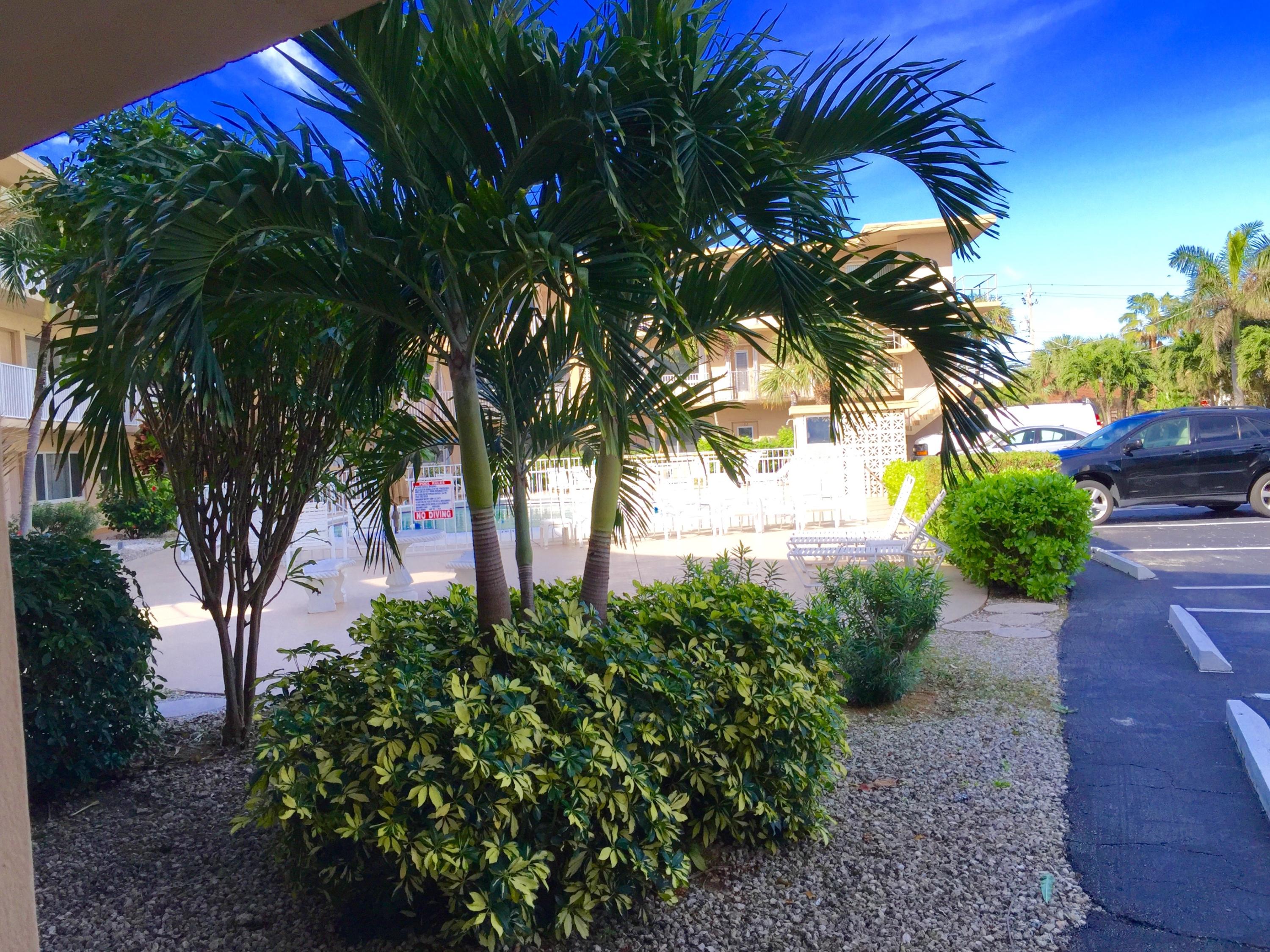 3600 North Ocean Drive, Unit 110 Riviera Beach, FL 33404 - Photo 8 of 51 IMG_8475