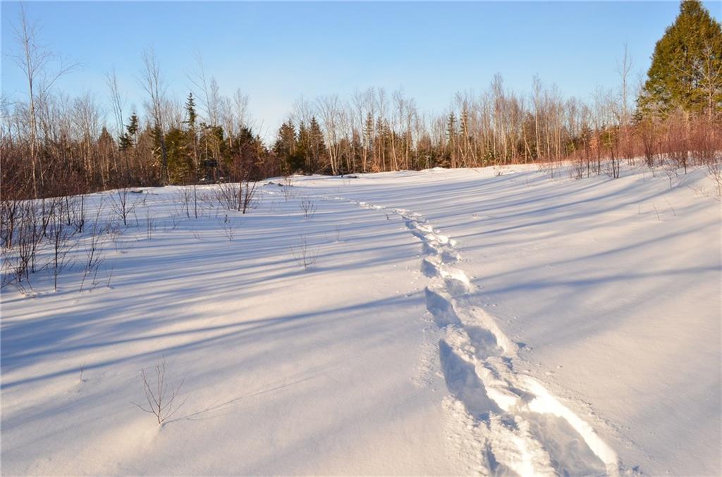 16 Mooseberry Lane Springfield, ME 04487 - Photo 21 of 26 Maine Land for Sale