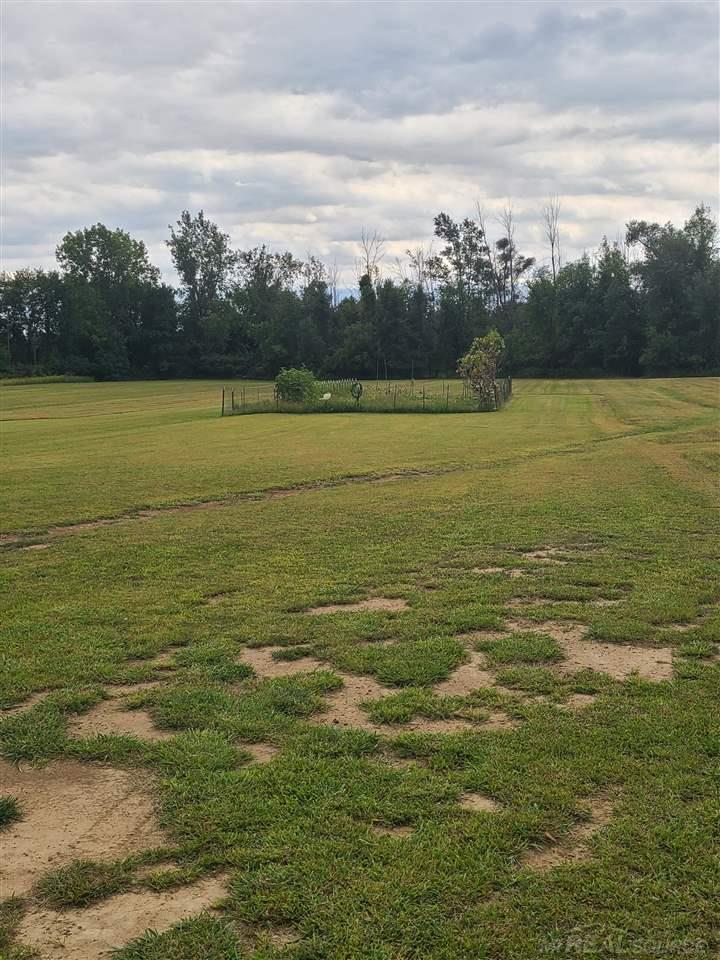 1545 West Galbraith Line Road Melvin, MI 48454 - Photo 9 of 11