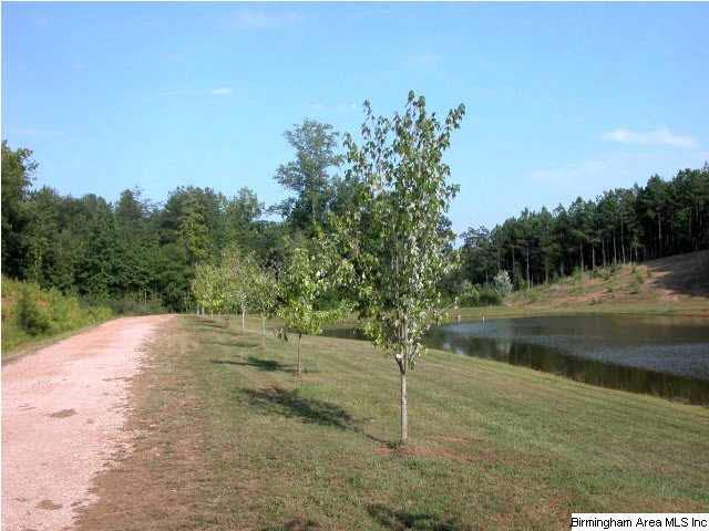 0 Lees Bridge Road, Unit 27 ACRES Delta, AL 36258 - Photo 3 of 8