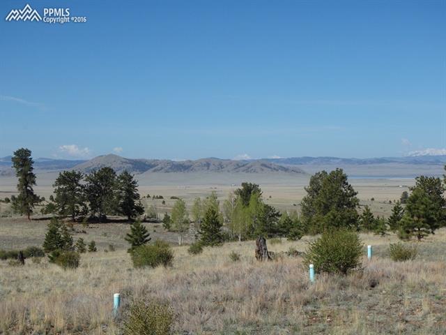 84 Routt Lane Lake George, CO 80827 - Photo 26 of 35 Gallery Image 26
