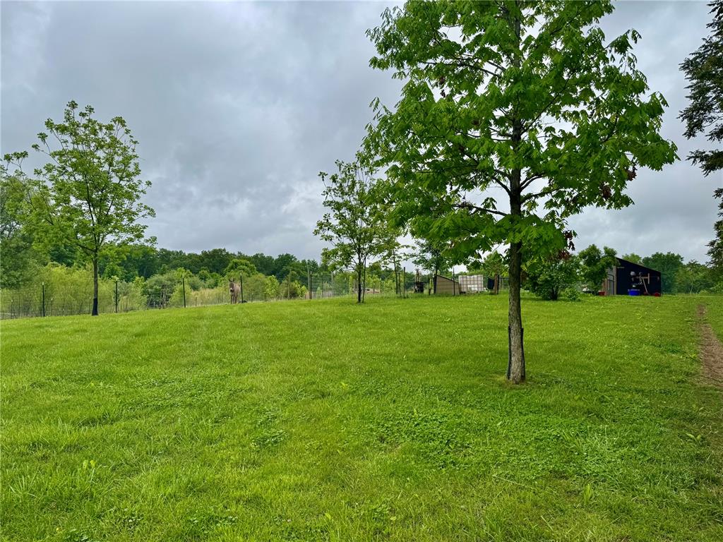7219 South Fork Road Red Bud, IL 62278 - Photo 30 of 96
