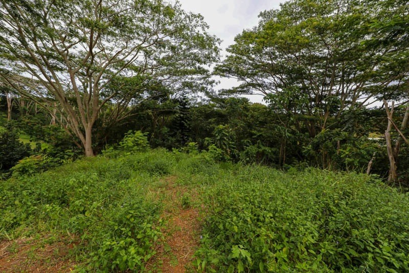 37 Omao Road Koloa, HI 96756 - Photo 27 of 29