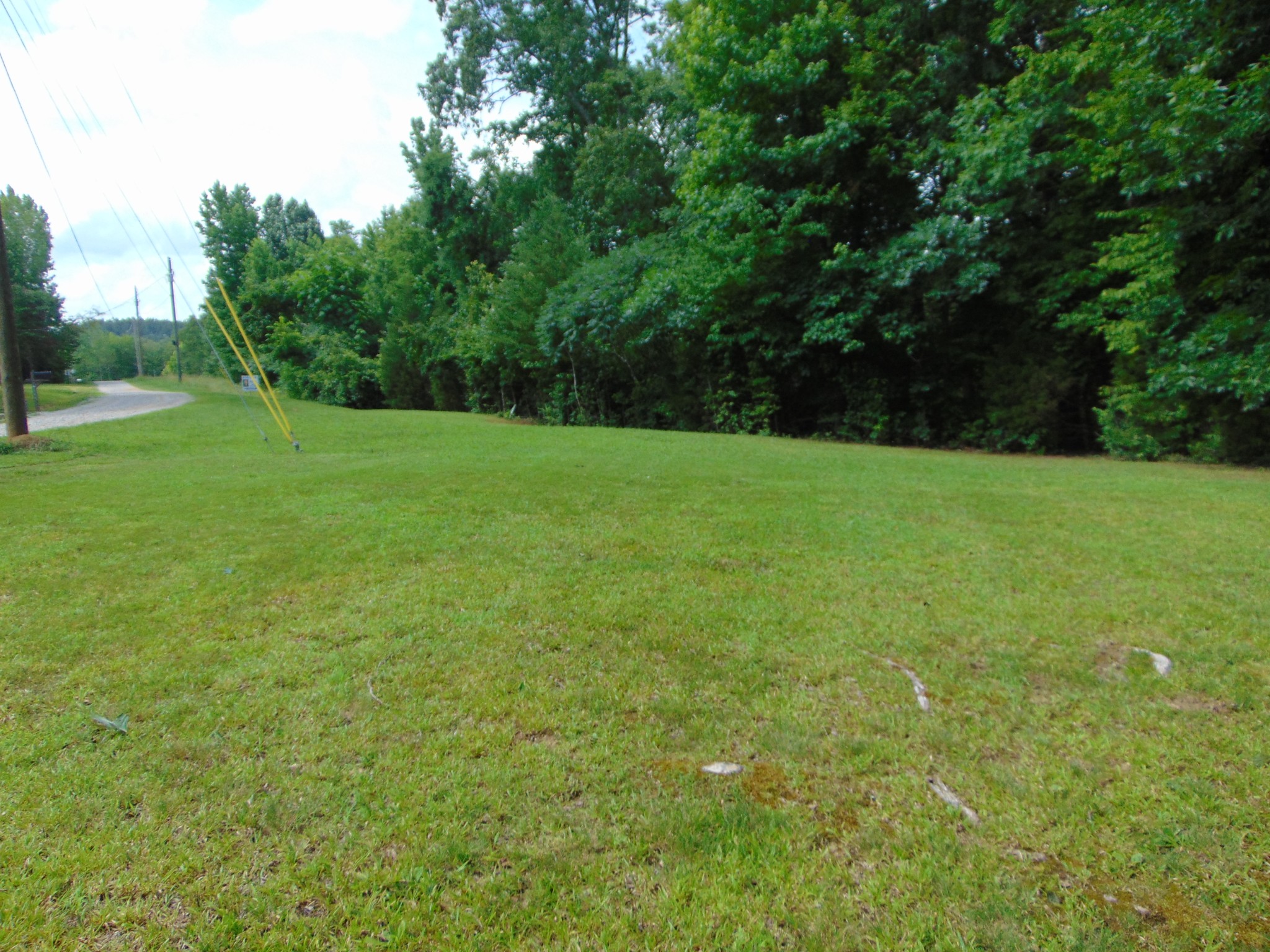 1 Beech Creek Road Clifton, TN 38425 - Photo 3 of 19