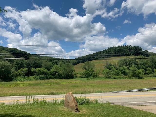 0 Pine Run Road Apollo, PA 15613 - Photo 5 of 6 Gallery Image 5