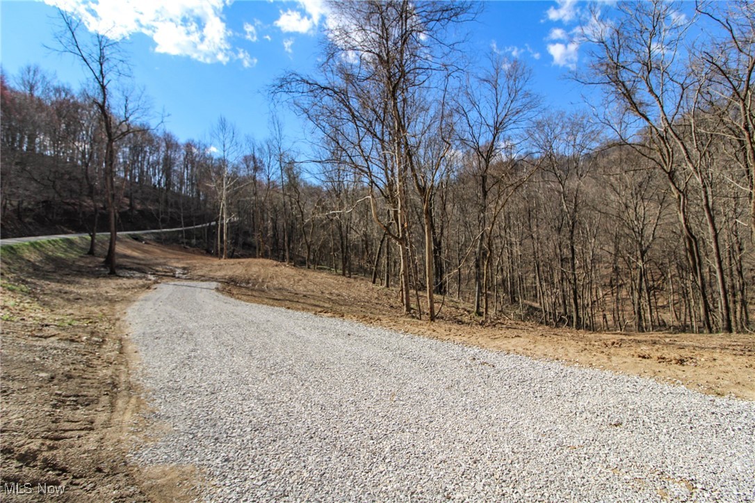 Elk Run Road New Matamoras, OH 45767 - Photo 1 of 27 View of road
