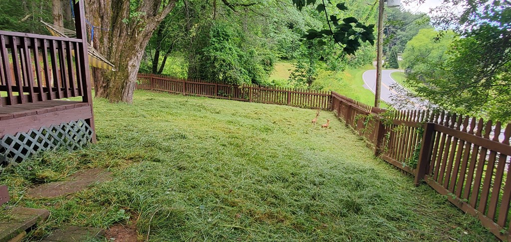 3542 Caney Creek Road Murphy, NC 28906 - Photo 19 of 46 Gallery Image 19