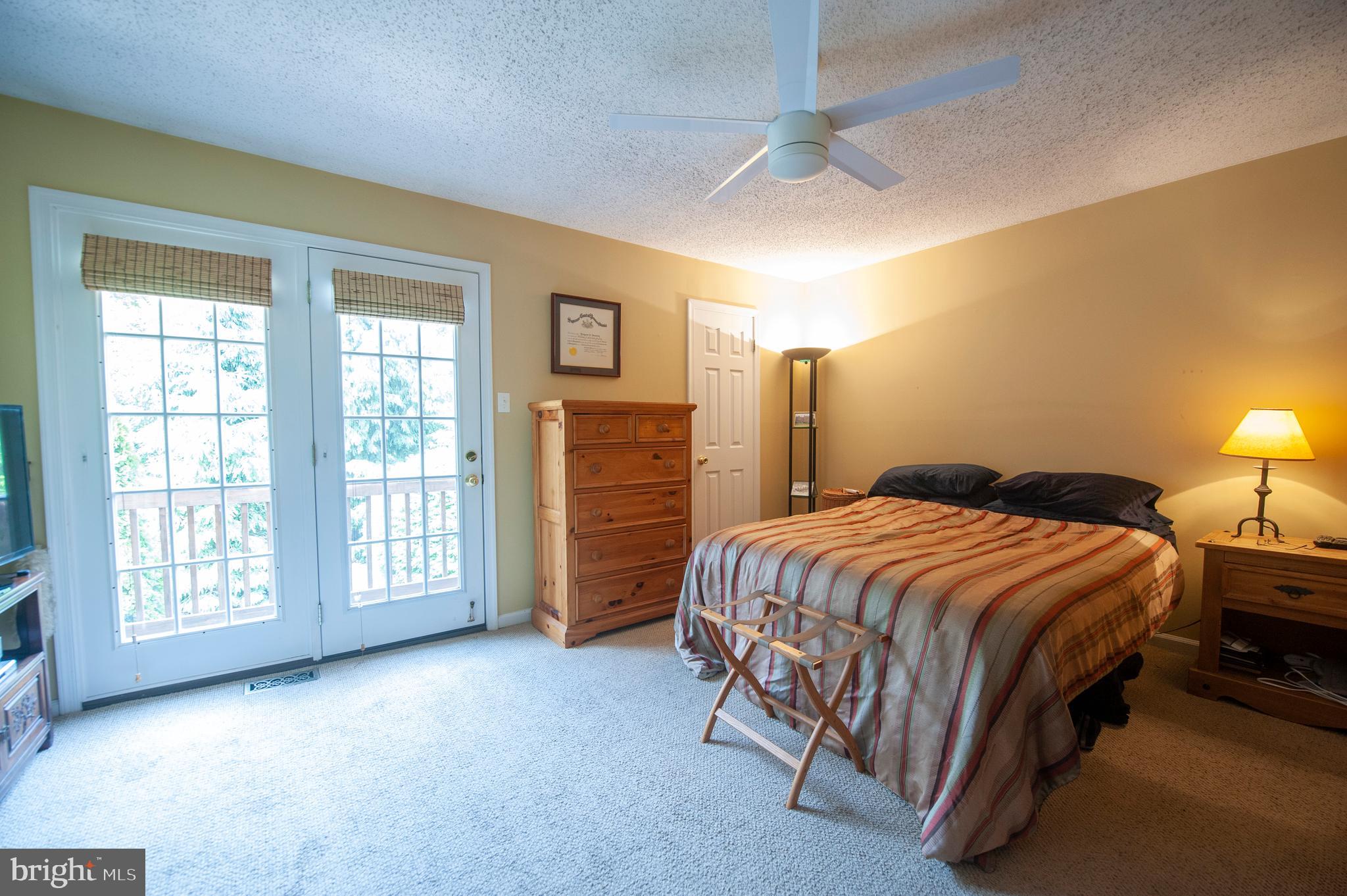 7 Rampart Drive Chesterbrook, PA 19087 - Photo 15 of 28 Master Bedroom with French Doors to Balcony