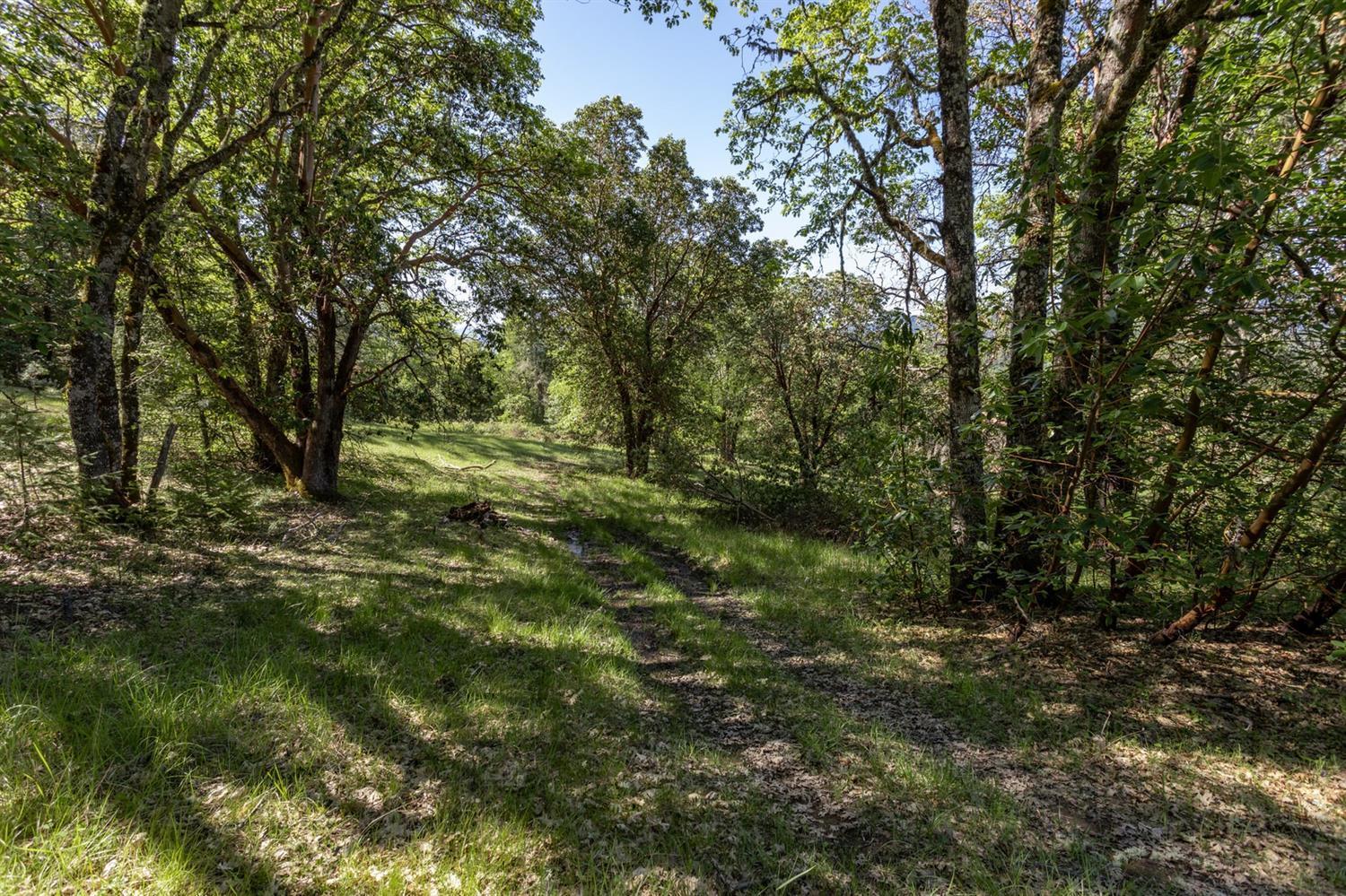 Tl100 Lower River Road Grants Pass, OR 97526 - Photo 29 of 35 a view of outdoor space and trees