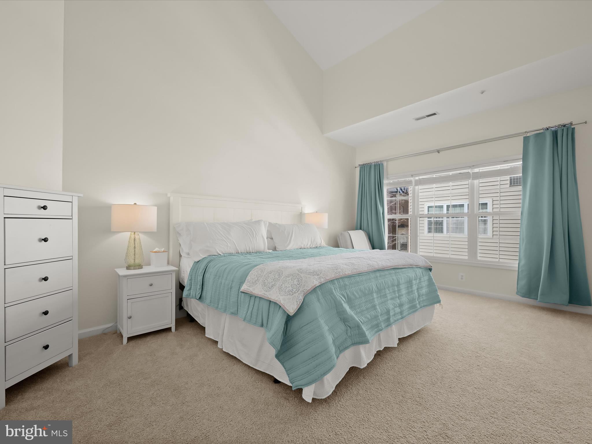 10276 Rutland Round Road, Unit 5 Columbia, MD 21044 - Photo 5 of 53 Primary bedroom suite with vaulted ceiling