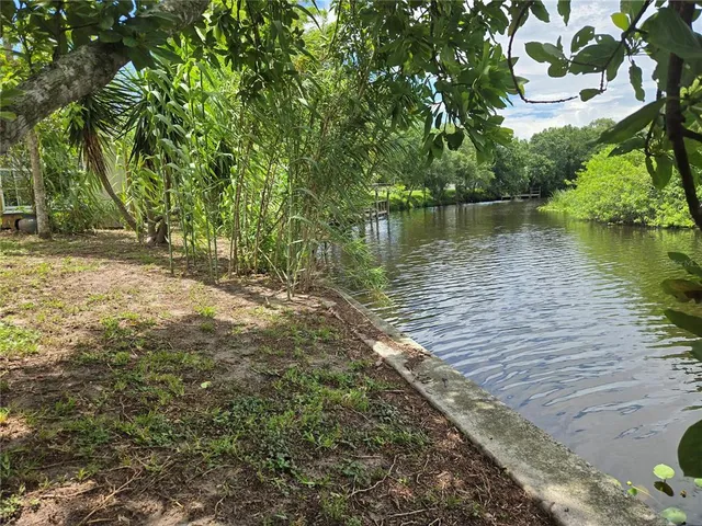 a view of a lake with a tree