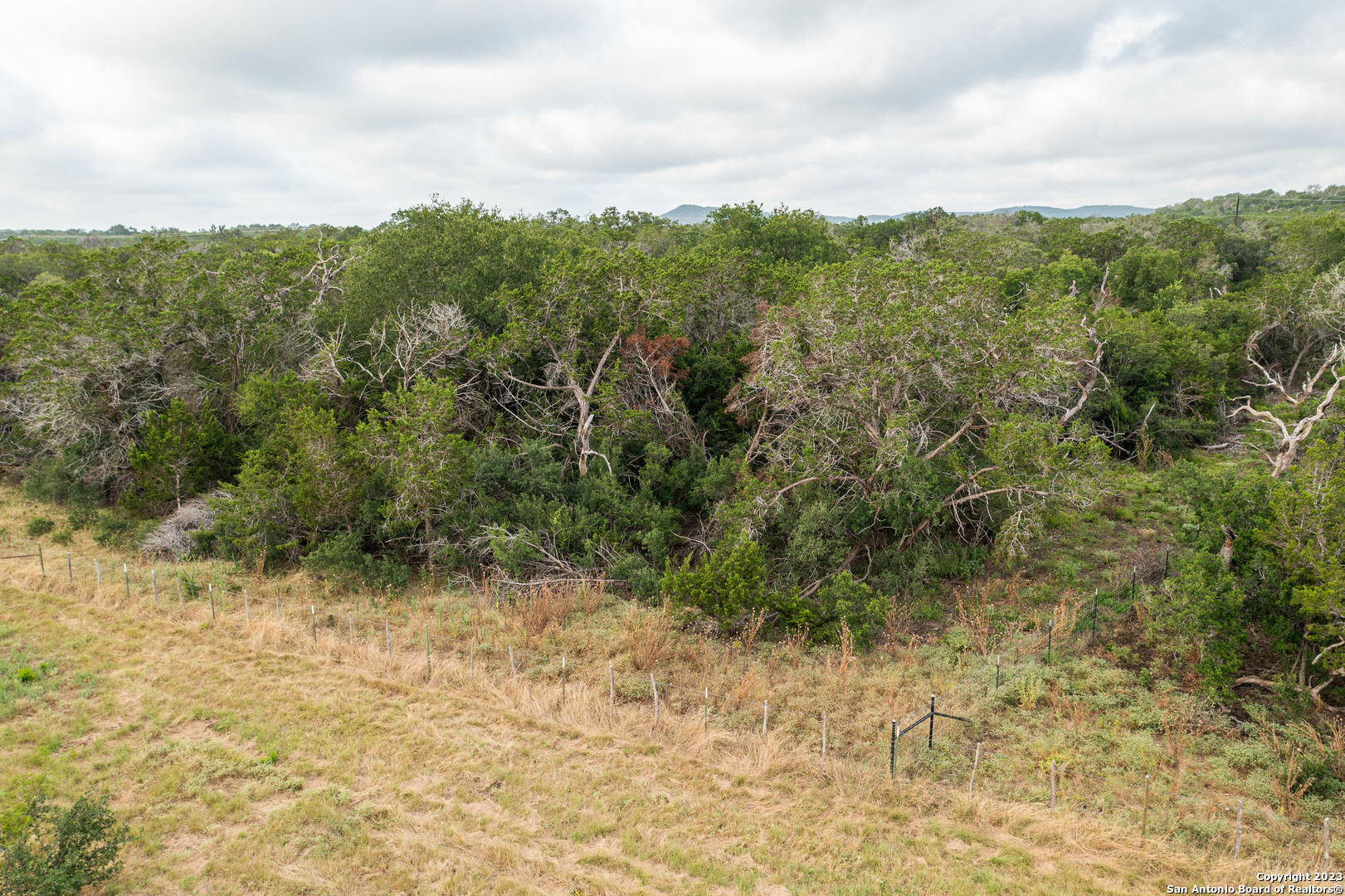 0 Wharton's Dock Road Bandera, TX 78003 - Photo 12 of 51 a view of a dry yard with and trees