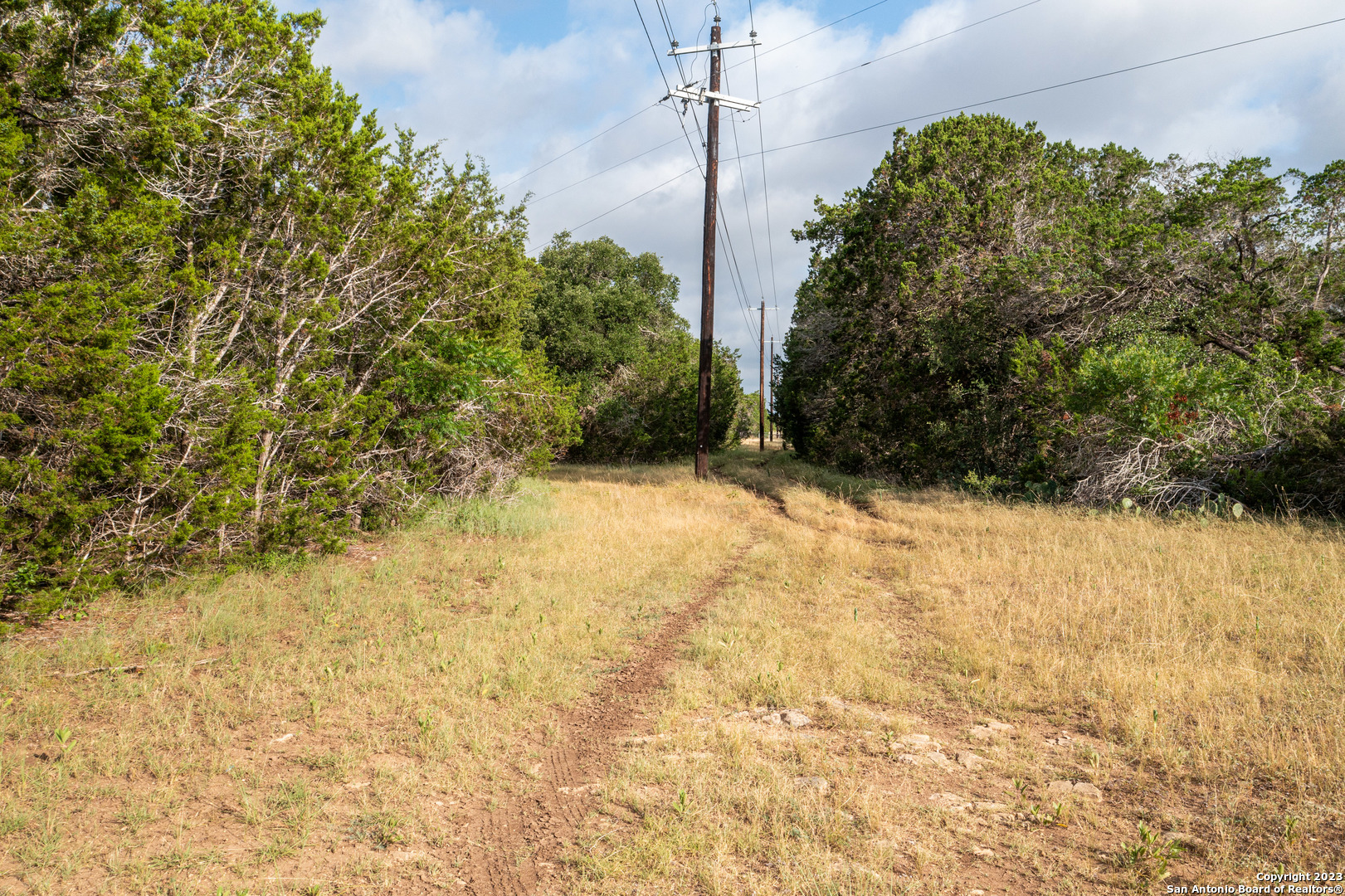 0 Wharton's Dock Road Bandera, TX 78003 - Photo 16 of 51 a view of a yard