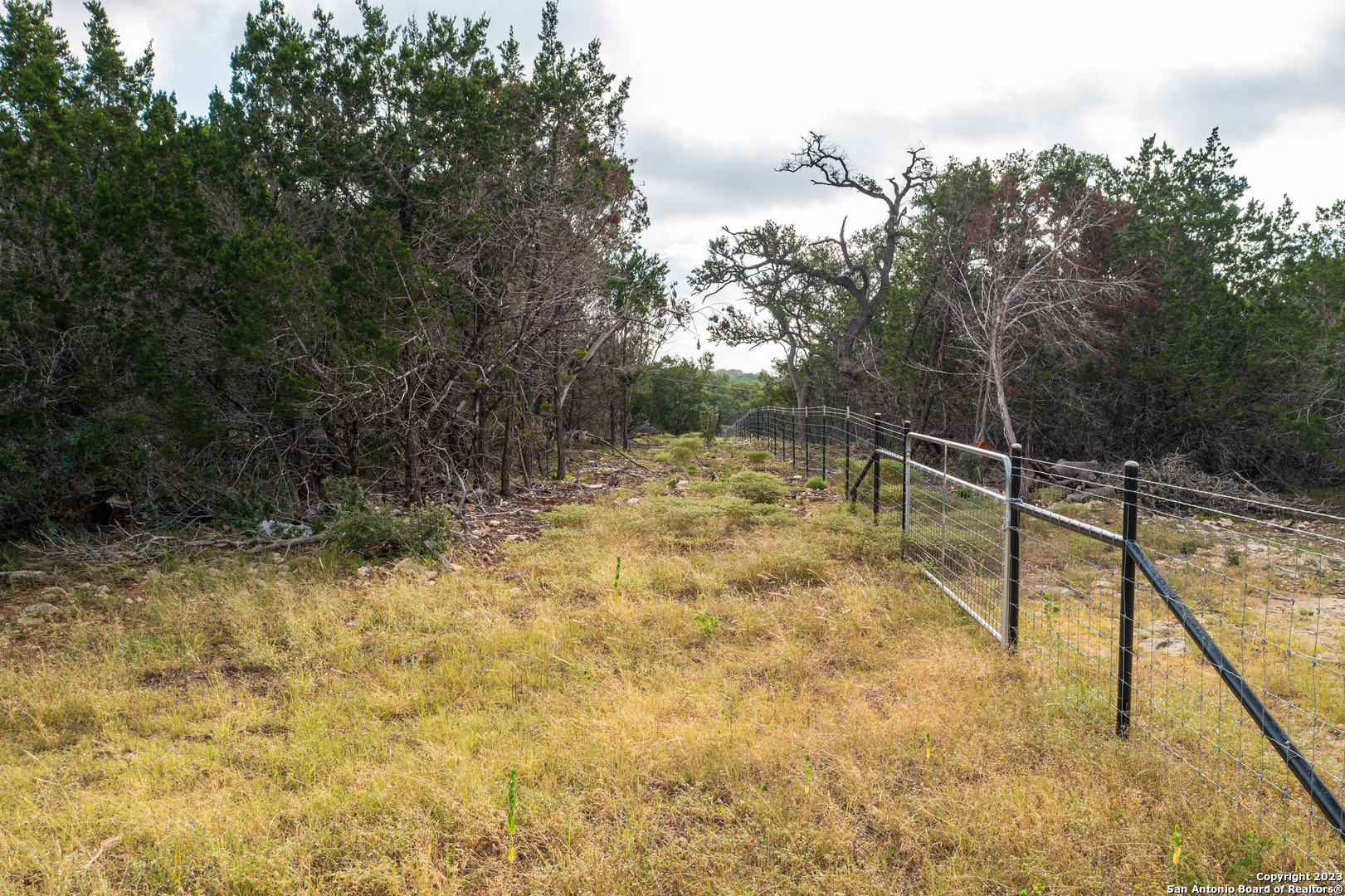 0 Wharton's Dock Road Bandera, TX 78003 - Photo 19 of 51 a view of a yard