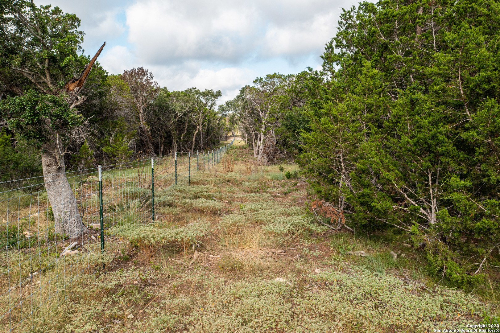 0 Wharton's Dock Road Bandera, TX 78003 - Photo 20 of 51 a view of a garden