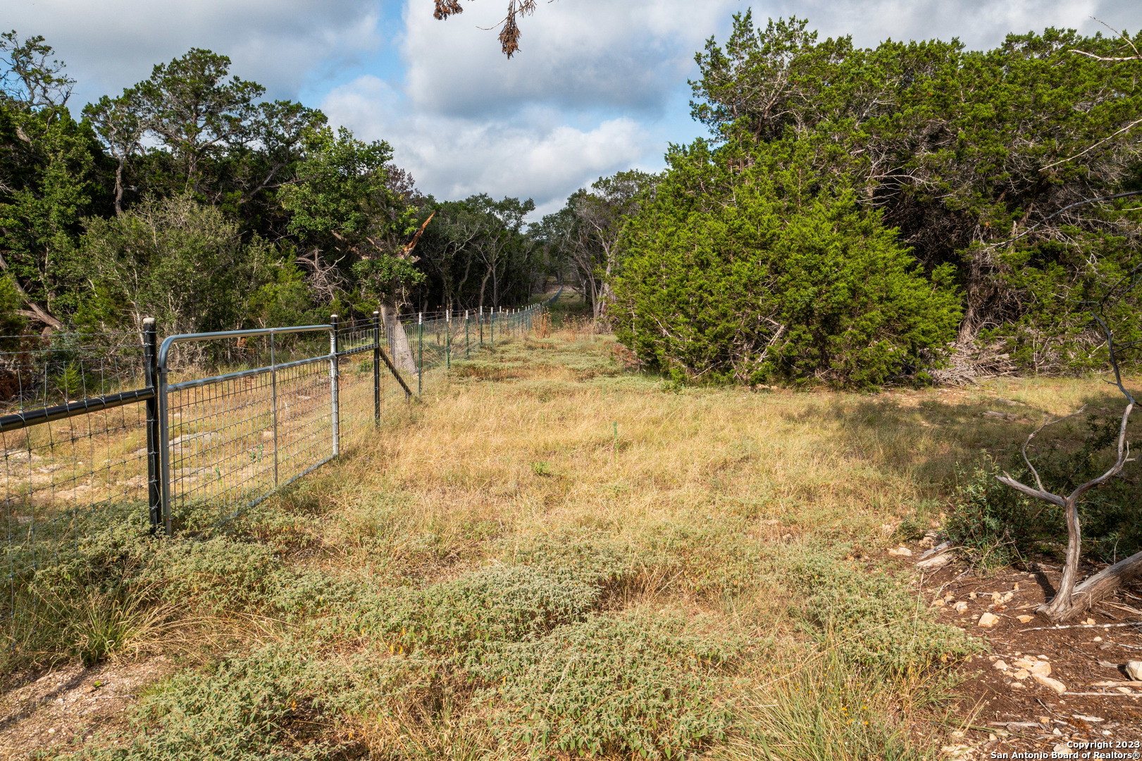 0 Wharton's Dock Road Bandera, TX 78003 - Photo 21 of 51 a view of a yard