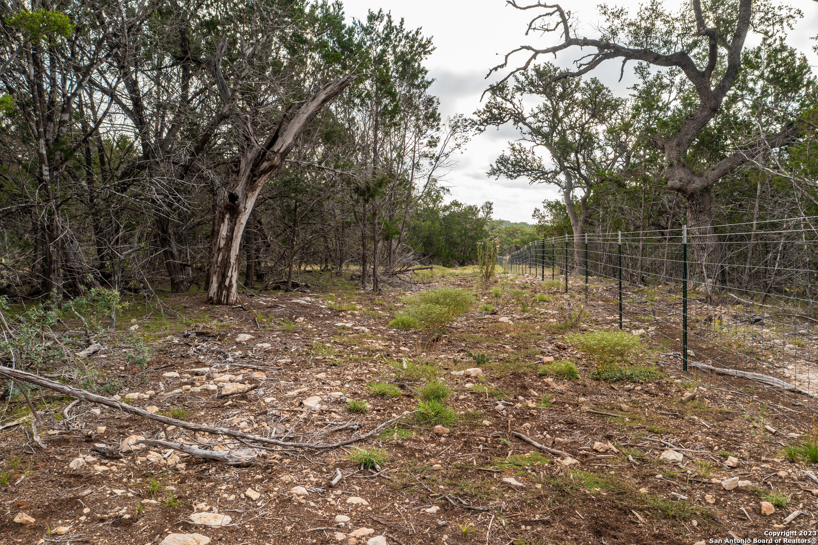 0 Wharton's Dock Road Bandera, TX 78003 - Photo 22 of 51 a view of a yard with a tree