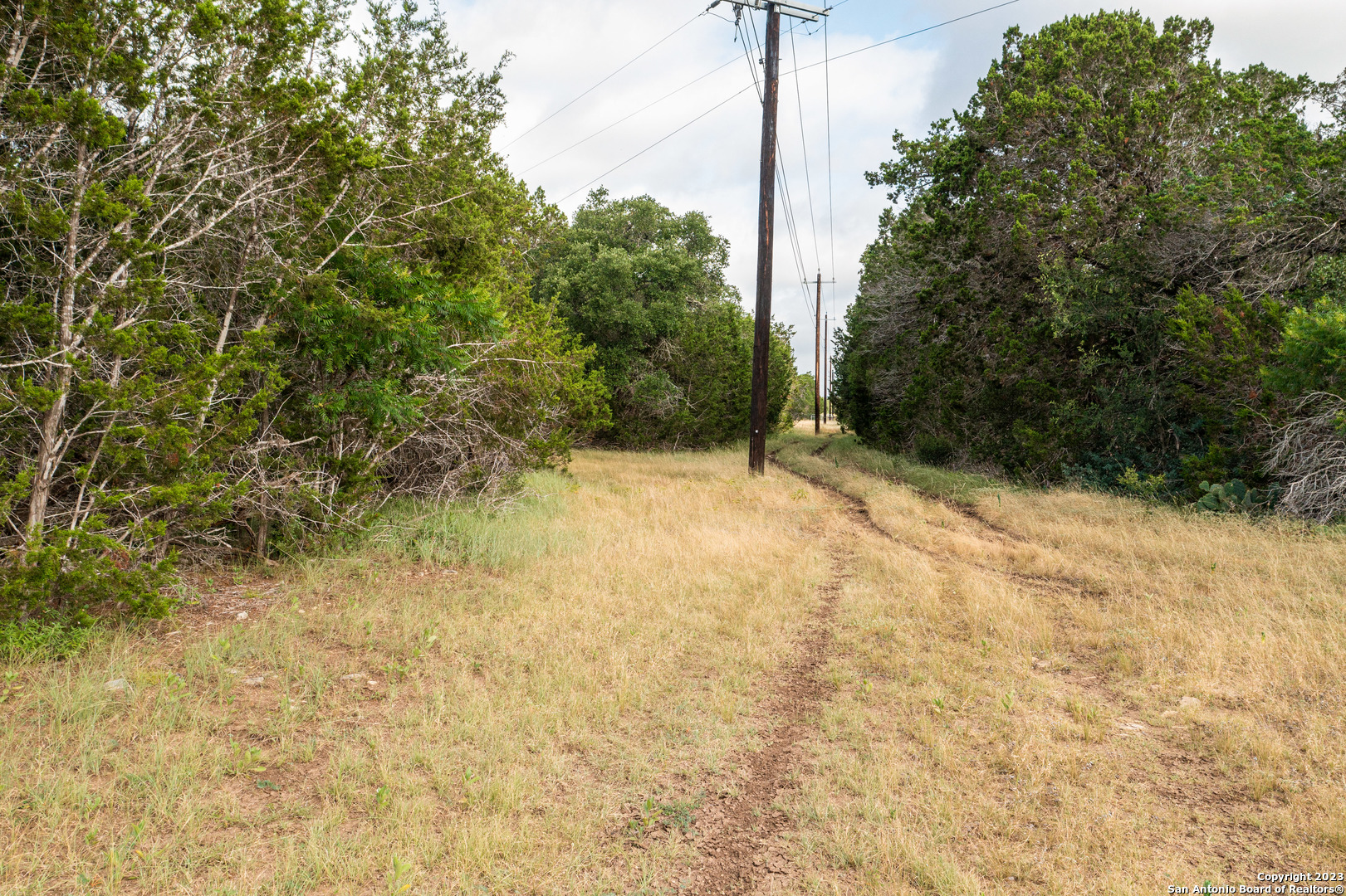 0 Wharton's Dock Road Bandera, TX 78003 - Photo 23 of 51 a view of a yard with a tree
