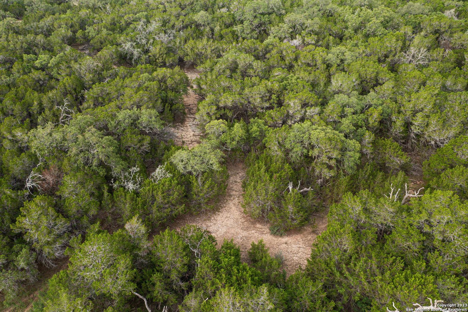 0 Wharton's Dock Road Bandera, TX 78003 - Photo 25 of 51 a view of a forest with a tree