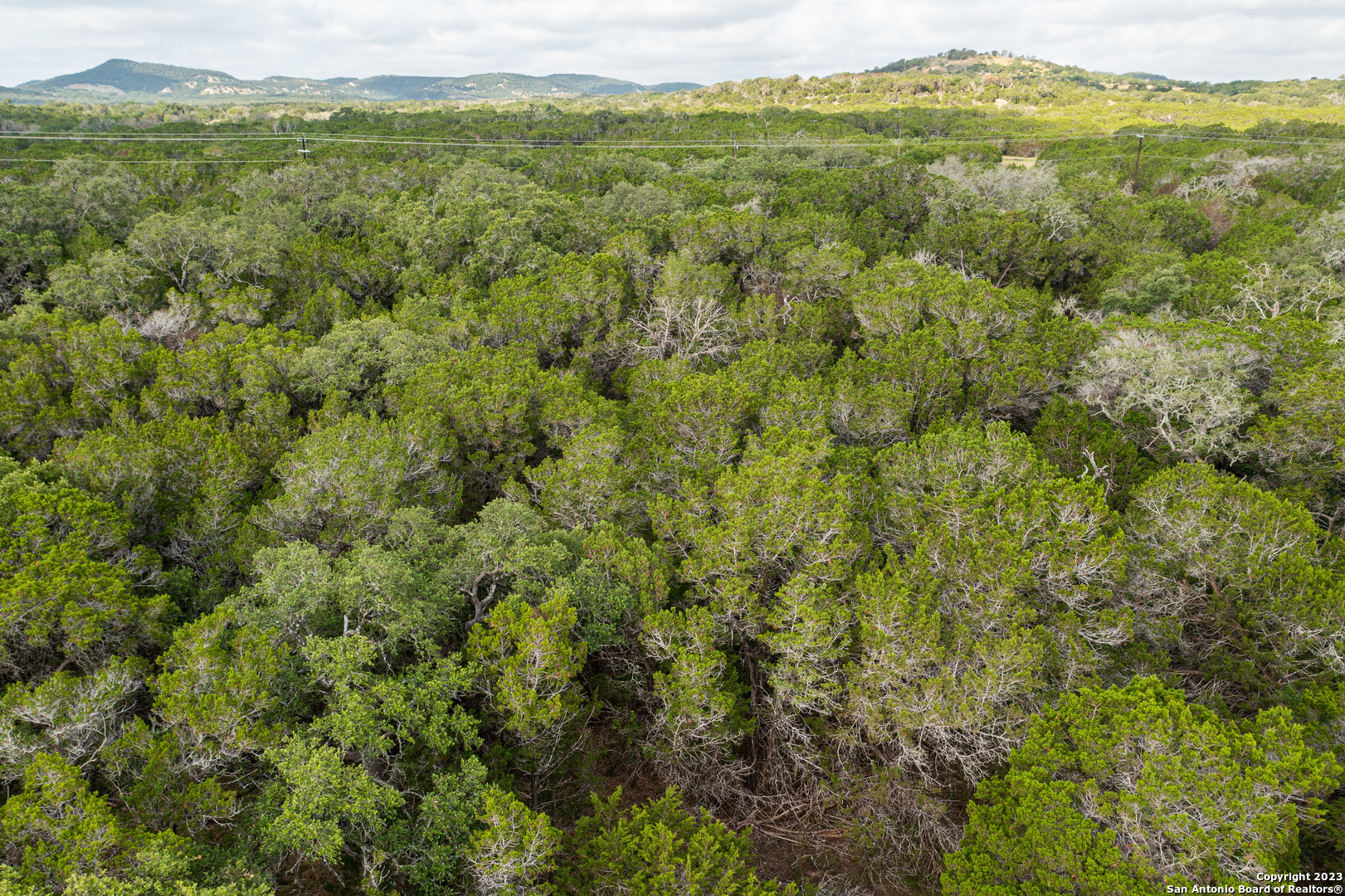 0 Wharton's Dock Road Bandera, TX 78003 - Photo 26 of 51 a view of a green field with lots of trees
