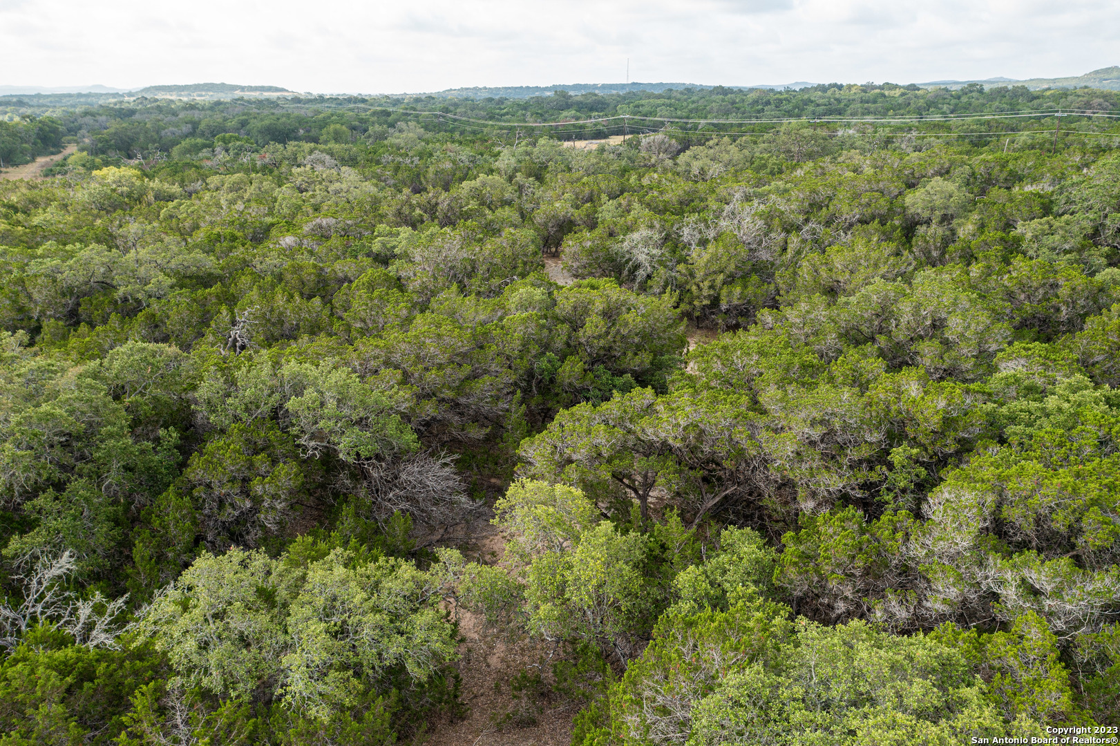 0 Wharton's Dock Road Bandera, TX 78003 - Photo 27 of 51 a view of a forest with a street