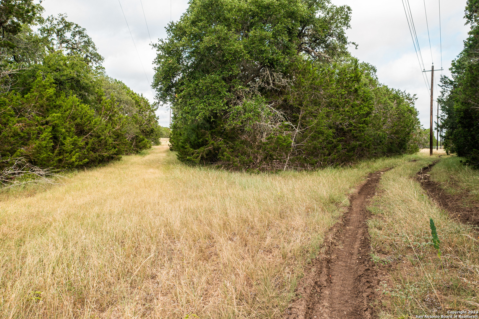 0 Wharton's Dock Road Bandera, TX 78003 - Photo 33 of 51 a view of a yard with a tree