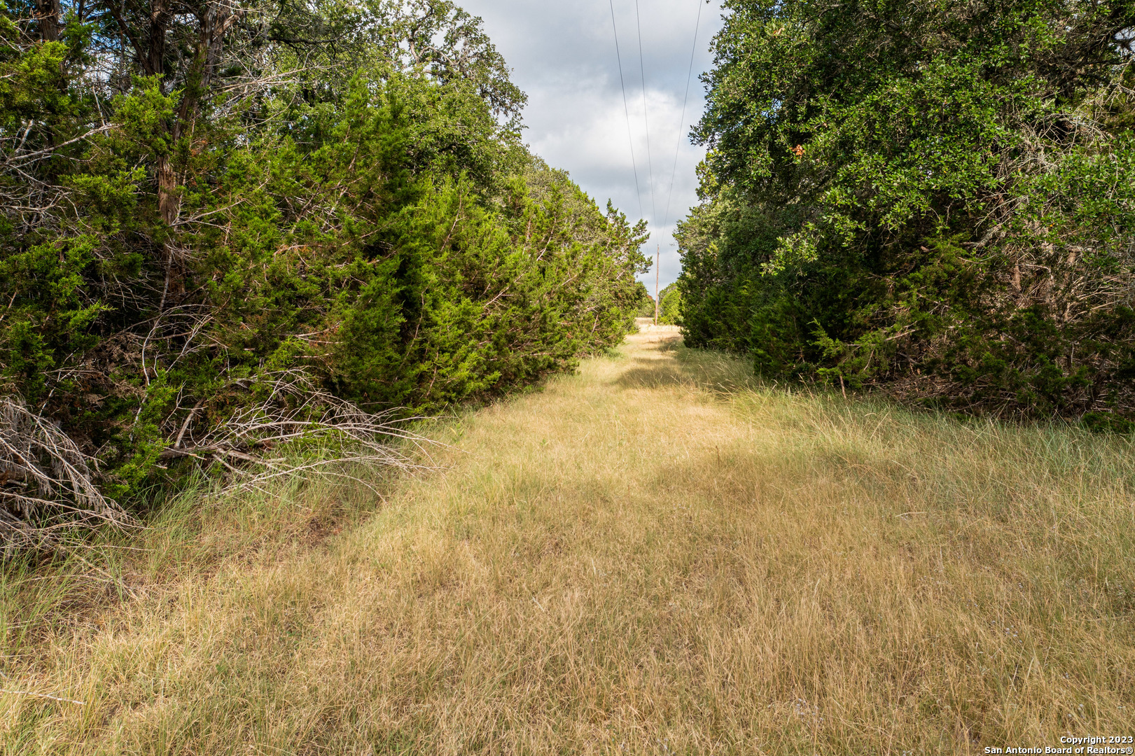 0 Wharton's Dock Road Bandera, TX 78003 - Photo 34 of 51 a view of a yard with a tree