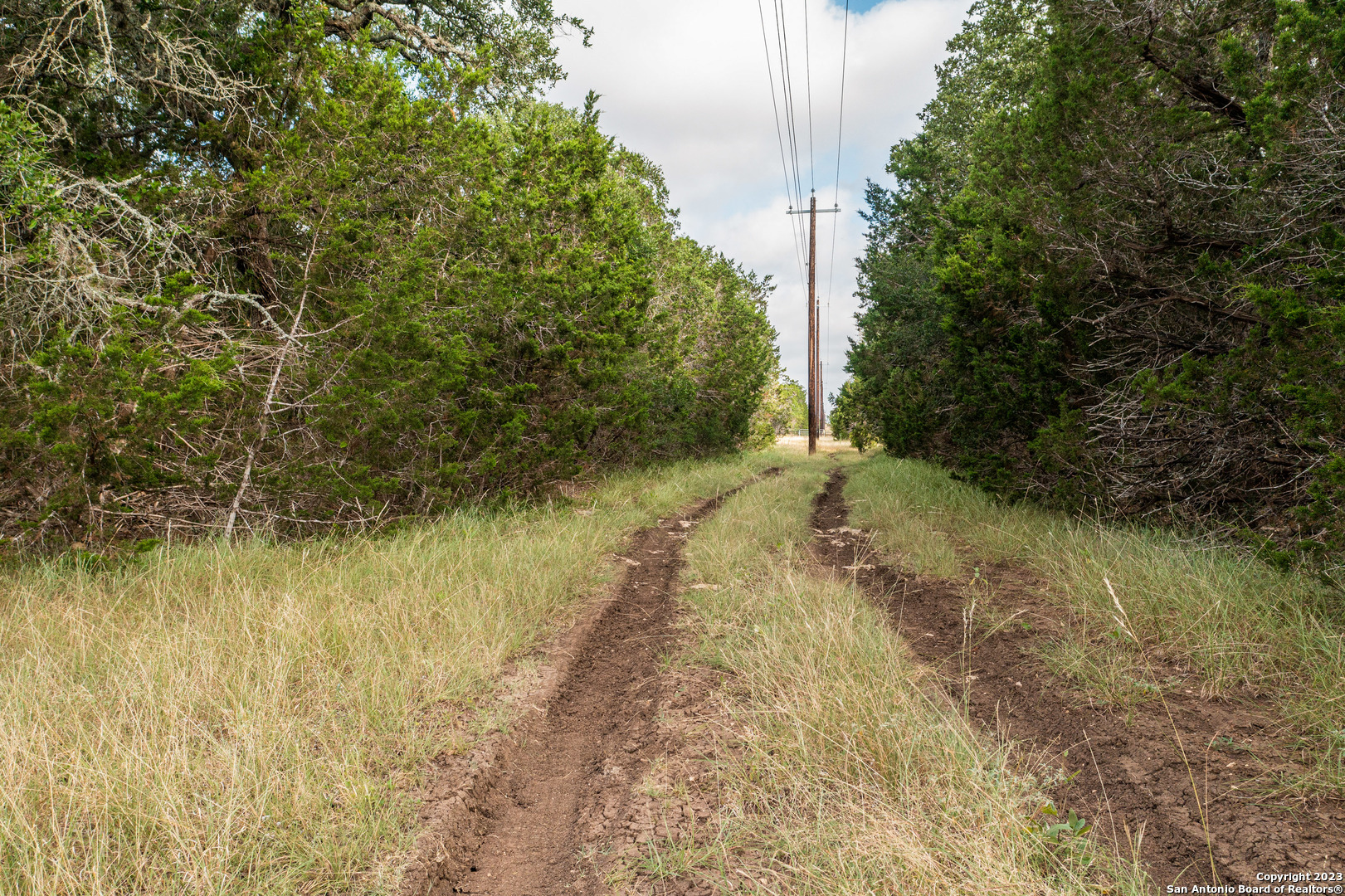 0 Wharton's Dock Road Bandera, TX 78003 - Photo 35 of 51 a view of a yard with trees
