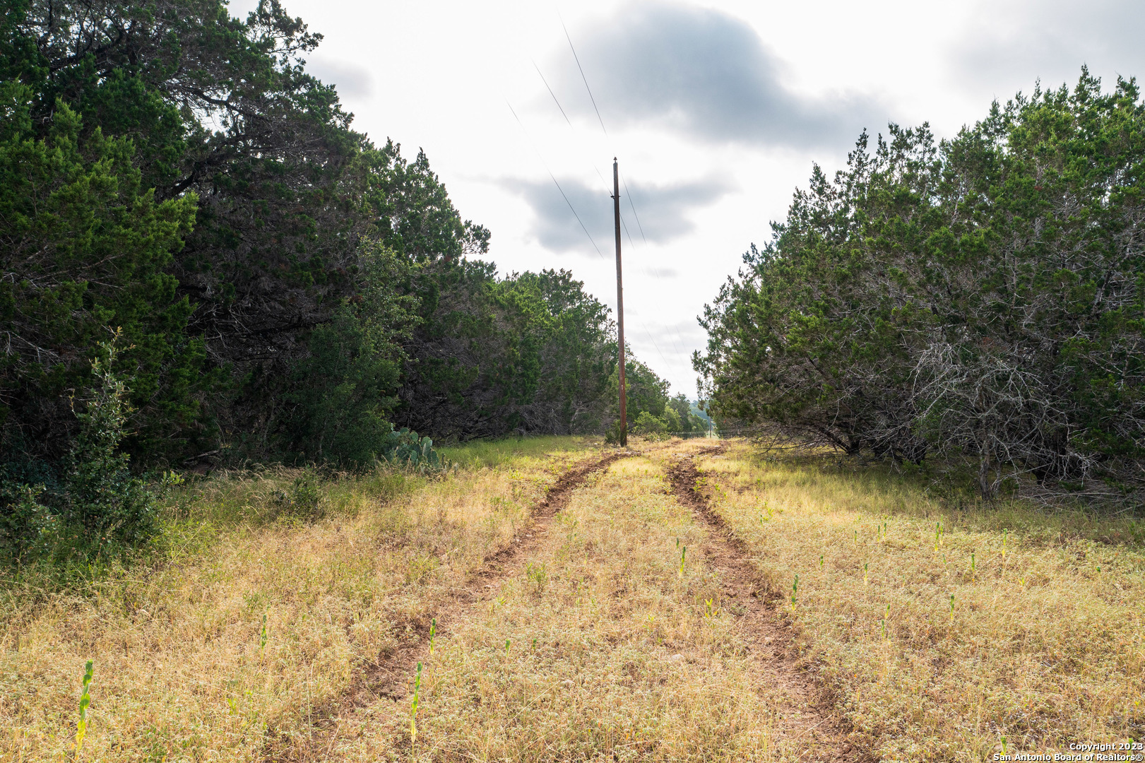 0 Wharton's Dock Road Bandera, TX 78003 - Photo 36 of 51 a view of a yard with a tree