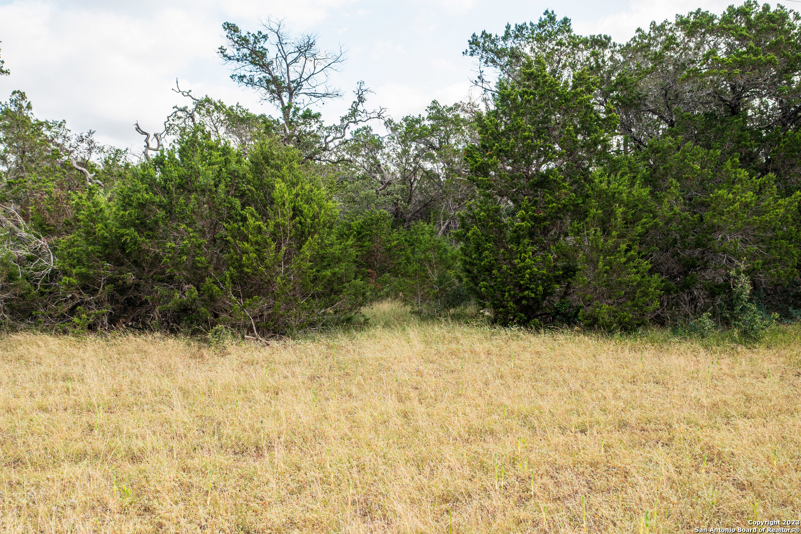 0 Wharton's Dock Road Bandera, TX 78003 - Photo 37 of 51 a view of a yard