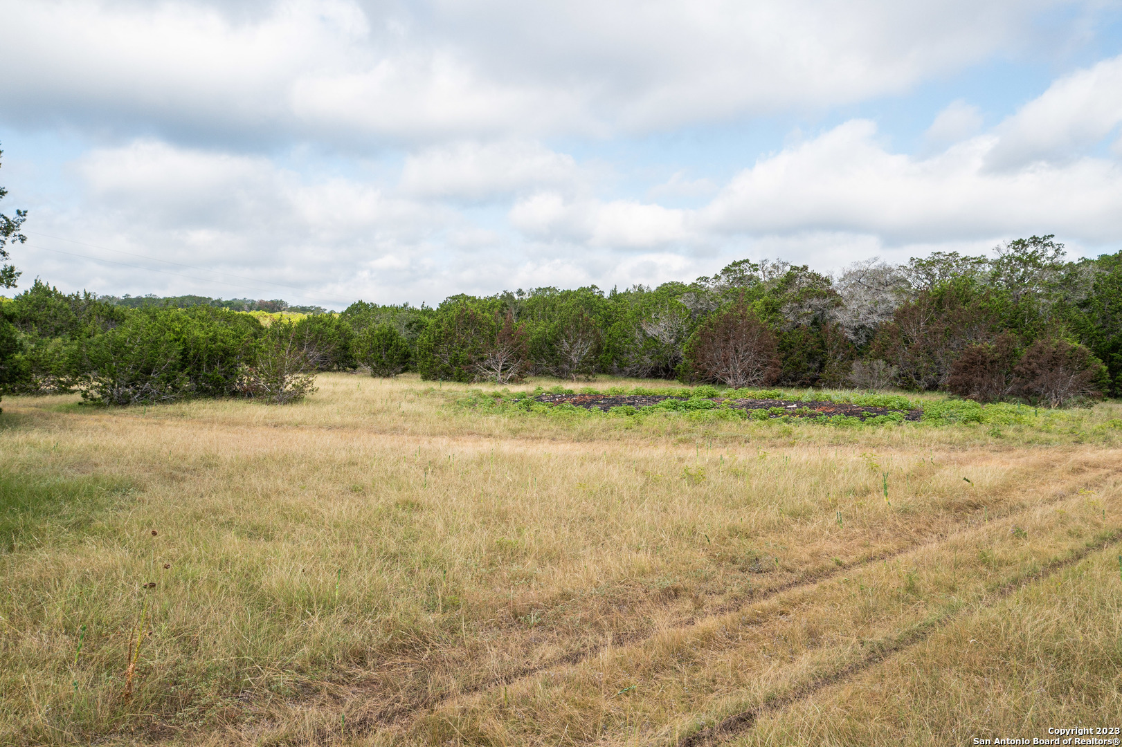 0 Wharton's Dock Road Bandera, TX 78003 - Photo 38 of 51 a view of a field with trees in background