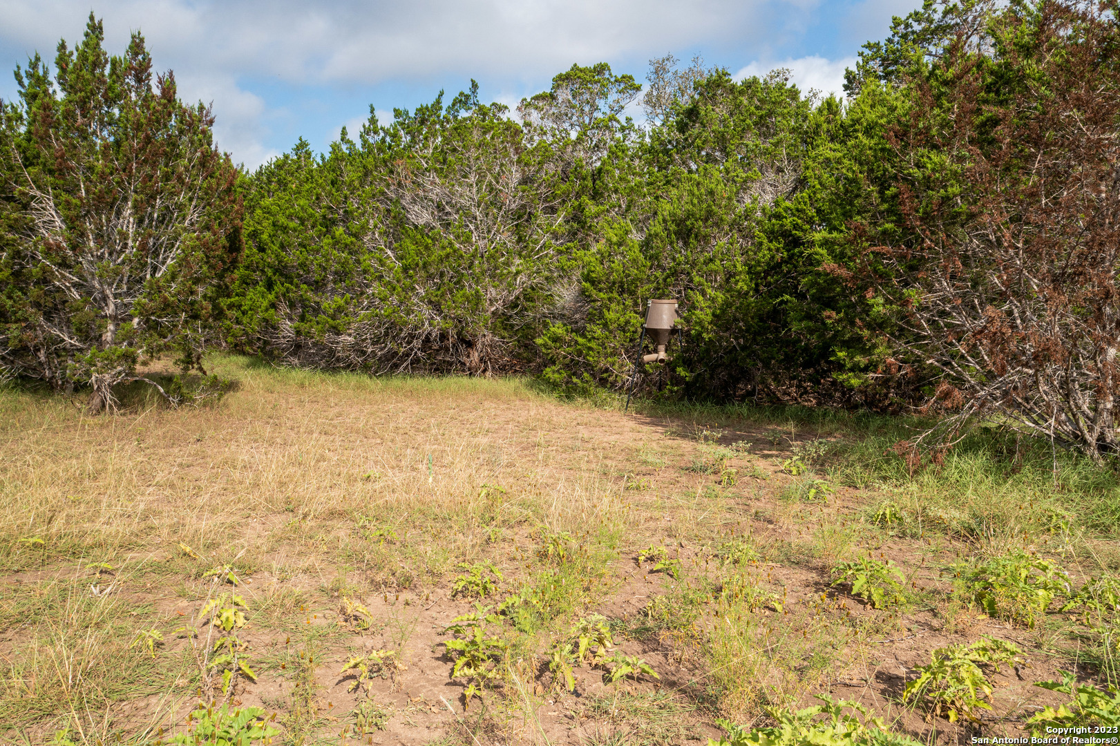 0 Wharton's Dock Road Bandera, TX 78003 - Photo 41 of 51 a view of backyard with green space