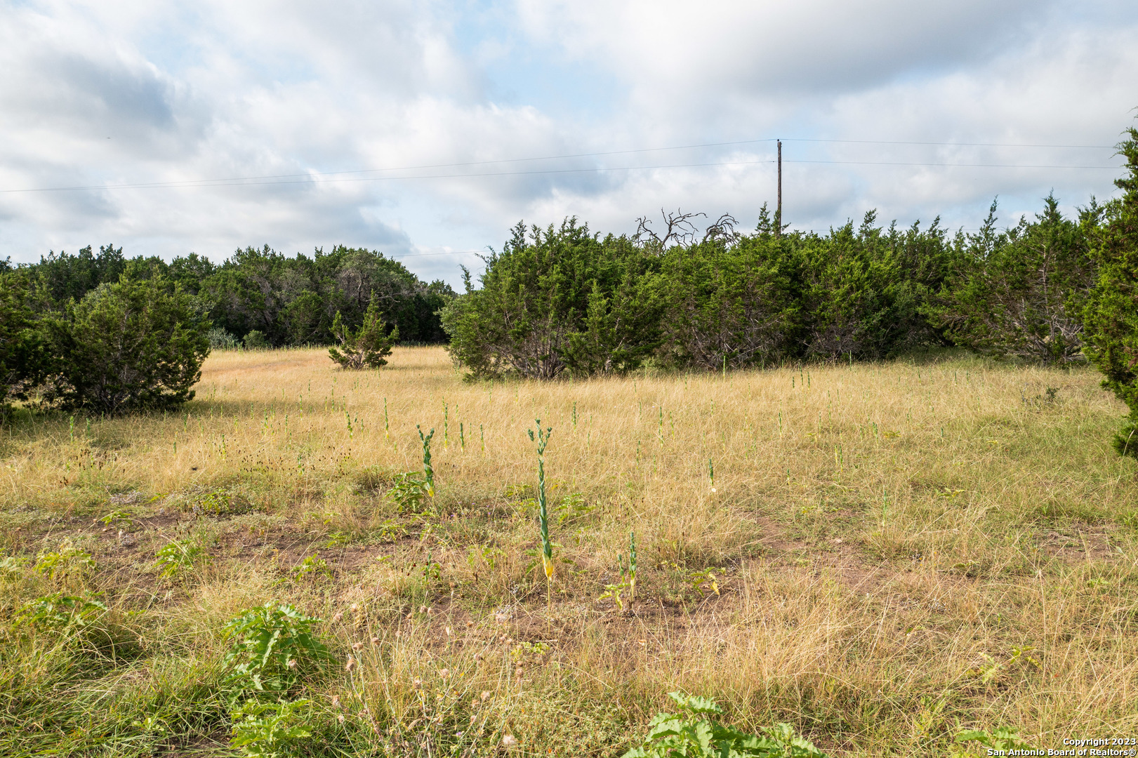 0 Wharton's Dock Road Bandera, TX 78003 - Photo 42 of 51 a view of yard with ocean view